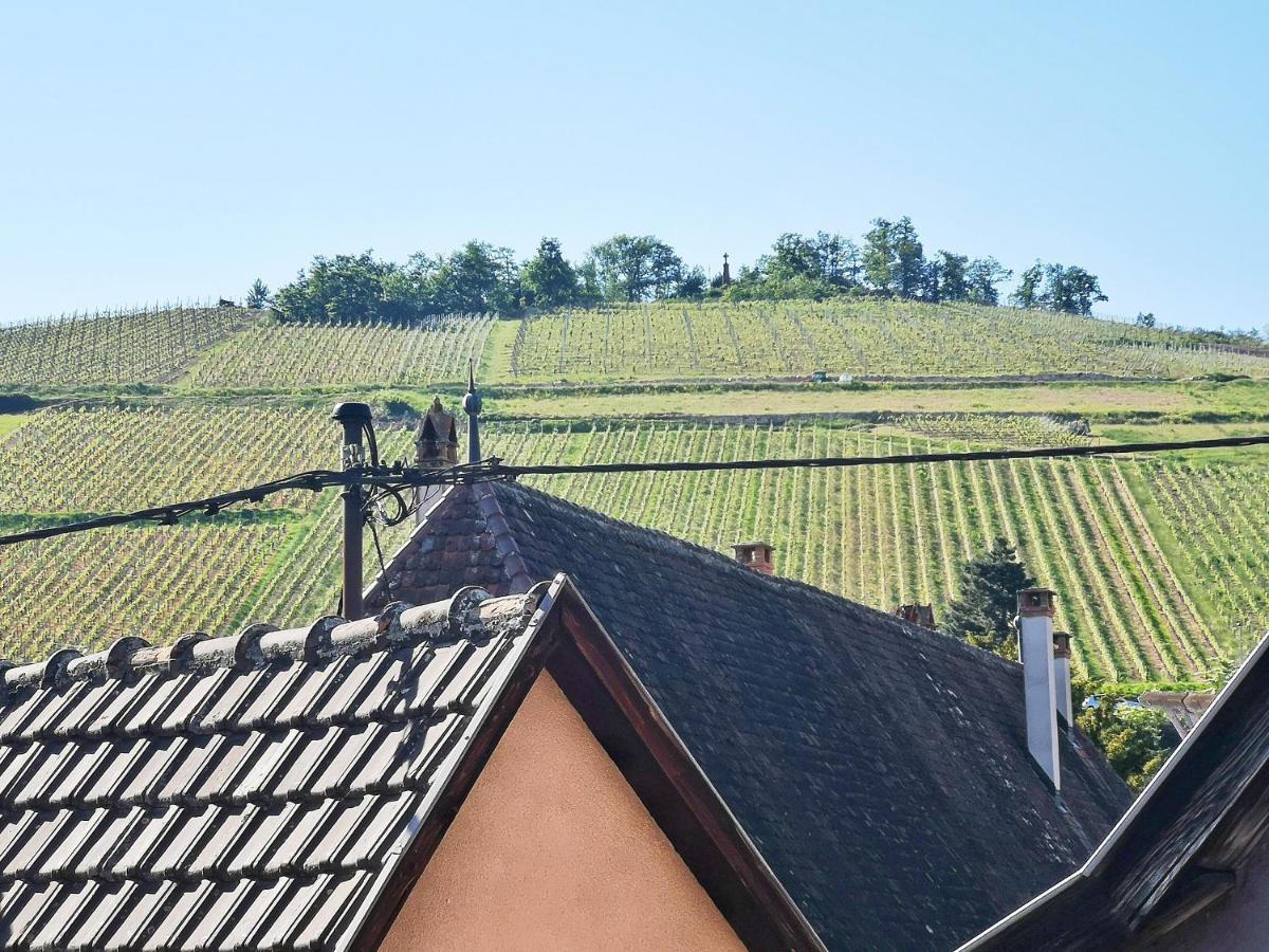 ✪ Le Convivial ✪ Duplex Alsacien ✪ Parking ✪ Rbnb✪ Turckheim Bagian luar foto